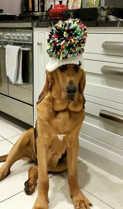 This Week in Pictures 41 | Big Bobble Hats