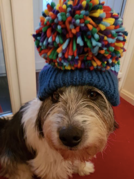 This Week in Pictures 91 | Big Bobble Hats