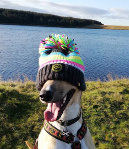 This Week in Pictures 129 | Big Bobble Hats