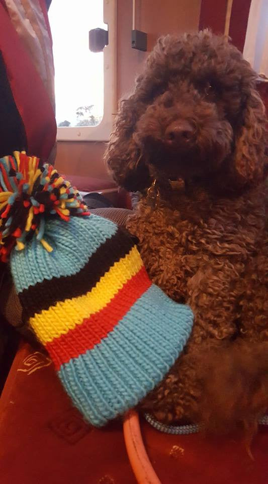 This Week in Pictures 15 | Big Bobble Hats
