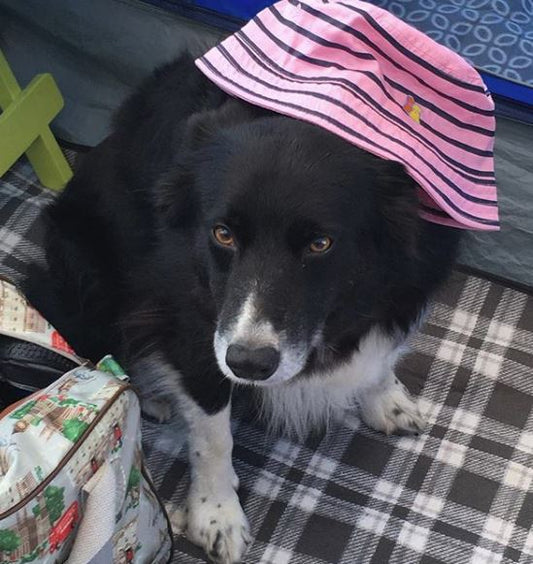 This Week in Pictures 31 | Big Bobble Hats